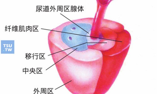 复方独活吲哚美辛胶囊适合哪些病症-复方独活吲哚胶囊能治强直吗网- 复方独活吲哚美辛胶囊多少钱一盒方盛知识,分享复方独活吲哚胶囊能治强直吗吃多久