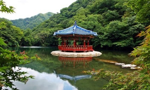 复方独活吲哚美辛胶囊适合哪些病症-复方独活吲哚胶囊能治强直吗网- 复方独活吲哚美辛胶囊多少钱一盒方盛知识,分享复方独活吲哚胶囊能治强直吗吃多久